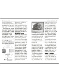 product-img-11