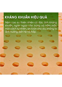 product-img-6