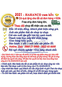 COMBO 2 chiếc Đón gót giày bằng sừng nhỏ gọn, làm móc khóa hoặc để túi (DGH902) Cho giày Nam & Nữ