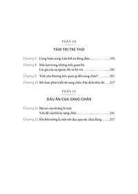 product-img-13