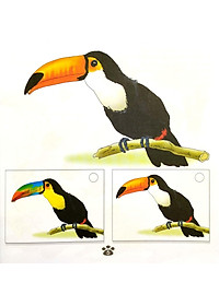 product-img-5