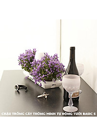 product-img-13