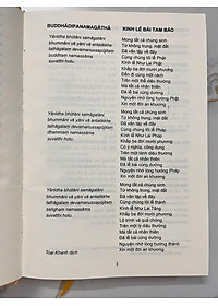 product-img-12