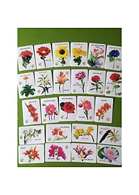 product-img-10