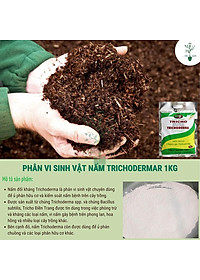 Chế phẩm men vi sinh nấm Trichoderma loại 1kg mã PM027. ĐIỀN TRANG - TRICHO 1000G