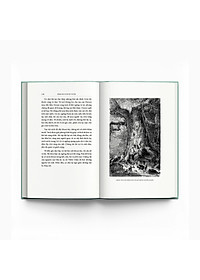 product-img-13