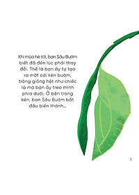 product-img-12