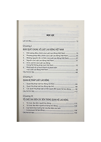 Sách - Giáo Trình Luật Lao Động Việt Nam