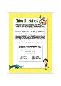 product-img-4