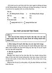product-img-9