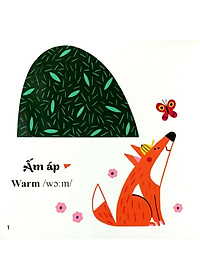 product-img-4