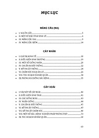 product-img-7