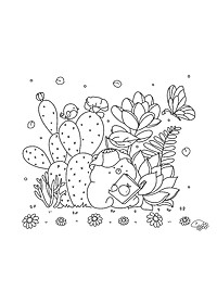 product-img-7