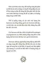 product-img-11