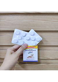 Vỉ 5 Viên Xổ Giun Tẩy Giun Sán Cho Chó Mèo Bio-Rantel 600mg