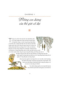 product-img-6