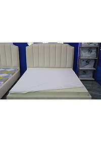 Nệm cao su Vạn Thành Standard CSVT-ST1610 (160 x 200 x 10cm)