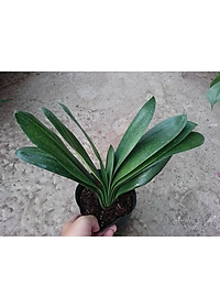 product-img-9