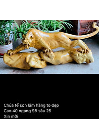 product-img-4