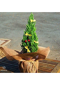 product-img-4