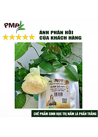 Combo Green Neem Hữu Cơ, Chế Phẩm Vi Sinh Biomic & Giấm Gỗ Sinh Học APY PMP Bảo Vệ Toàn Diện Hoa Hồng, Rau, Cây Cảnh