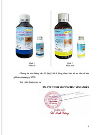 product-img-6