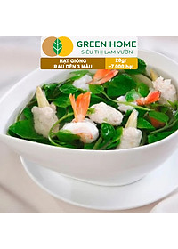 Hạt Giống Rau Dền 3 Màu Greenhome, Gói 20g~7000 hạt, Dễ Trồng Quanh Năm, Nảy Mầm Cao, Thu Hoạch Nhanh, Năng Suất Cao R15