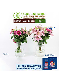 Dưỡng Hoa Lâu Tàn Greenhome, Chrysal, Gói 5gr, Phân Bón Cho Hoa Cắt Cành, Lâu Tàn, Nở Bông To, Không Bị Hôi Nước