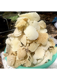 Nến Sáp Ong 26 Giờ Kèm Dĩa Gỗ Dừa 10cm : Khử Mùi Hôi Phòng Kín, Làm Sạch Không Khí, Thơm Nhẹ Mùi Mật Ong - HÀNG CHÍNH HÃNG