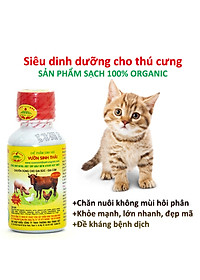 product-img-10