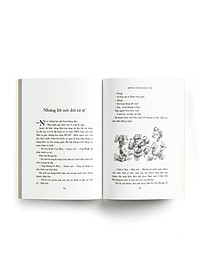 product-img-6