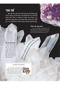 Sách Bách Khoa Tri Thức Về Khám Phá Thế Giới Cho Trẻ Em - Rocks And Minerals - Đá Và Khoáng Chất