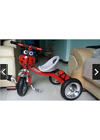 product-img-6