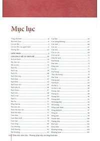 product-img-10