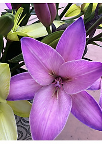 product-img-14