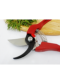 Kéo cắt cành cao cấp Nhật Bản Chikamasa PS-20R chiều dài lưỡi 50mm - lưỡi thép carbon chất lượng cao siêu bén - Cắt ngọt, không bám dính, liền sẹo nhanh