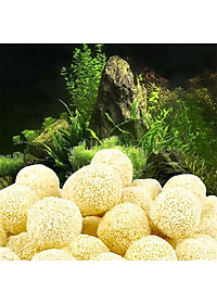 product-img-21