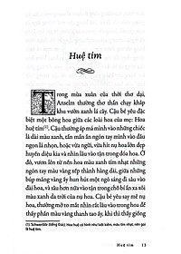 product-img-10