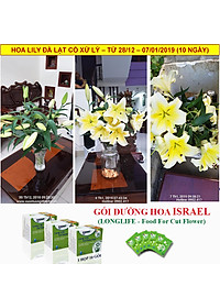 Bộ 5 hộp Chế phẩm xử lý hoa Longlife của Israel - Bảo quản hoa cắm bình tươi lâu và 14 ngày không thối nước