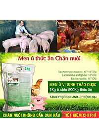 Combo 2 gói BIO-MEN Men ủ thơm thảo dược. Men vi sinh ủ chín thức ăn cho Gia súc, Gia cầm