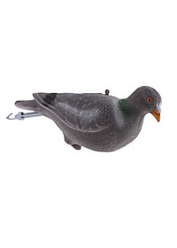 product-img-6