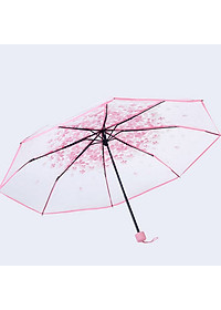 Dù xếp trong suốt hoa anh đào V.2 - Màu hồng