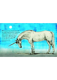 Sách Fantastic Beasts: The Wonder of Nature (Amazing Animals and the Magical Creatures of Harry Potter and Fantastic Beasts) (Paperback)