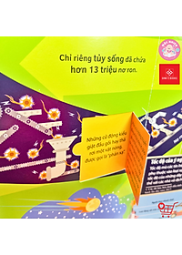 product-img-6