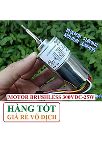 Động cơ từ Brushless phát điện 60w
