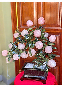 product-img-5