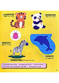 product-img-4