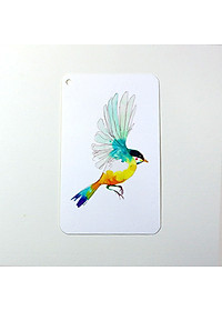 product-img-13