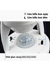 product-img-16