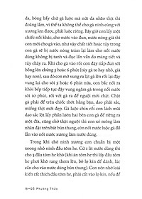 product-img-12
